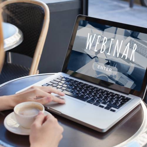 Expertenwissen im Webinar...