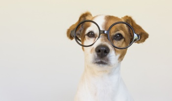 Alle Informationen rund um ZEUS®