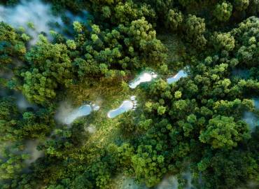 Nachhaltigkeit Umwelt Natur Füße Wald